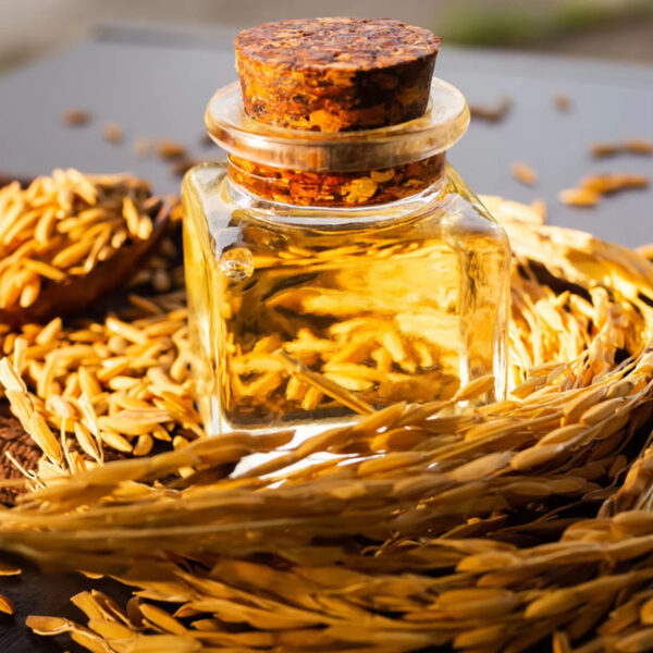 Pure RICE BRAN OIL from VIETNAM // Nutrient Rich Cooking Essential // PREMIUM QUALITY from RICE