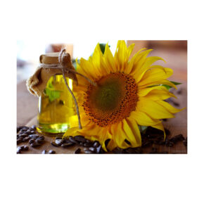 Buy High Quality Refined Sunflower Oil at Unbeatable Low Prices Perfect for Cooking Baking and Frying Today