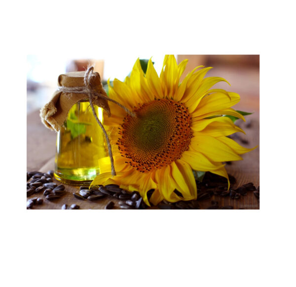 Buy High Quality Refined Sunflower Oil at Unbeatable Low Prices Perfect for Cooking Baking and Frying Today