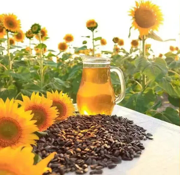 Cheap Price Refined Sunflower Oil For Sale / Best Sun Flower Oil 100% Refined Sunflower Cooking Oil France - Image 2