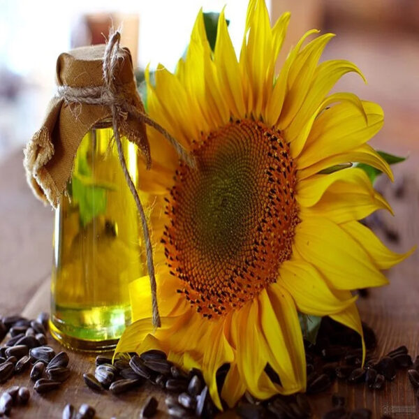 Best Factory price 100% Refined Sunflower Oil 1L 2L 3L 5L 10L 20L Best Grade 100% Organic Best Price Sunflower Oil - Image 2