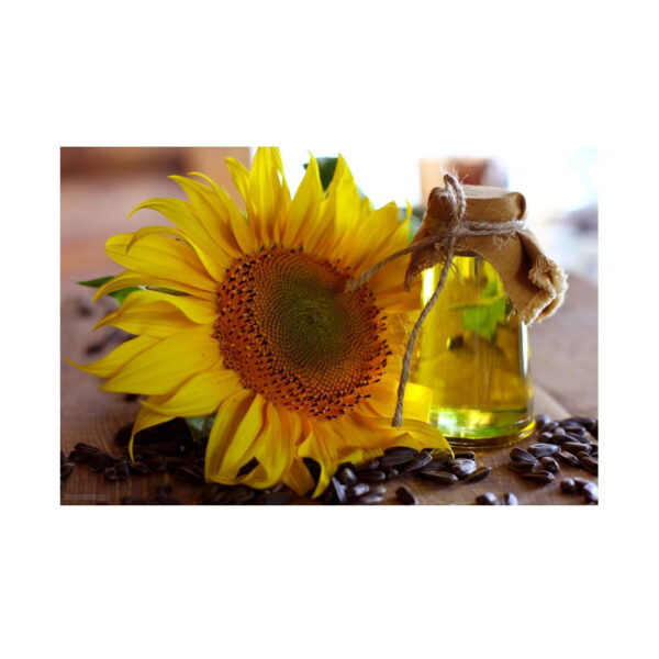 Organic Crude Sunflower Oil Refined Cooking Oil in Bulk Drum Plastic or Glass Bottle Packaging - Image 6