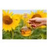Best Quality Wholesale Product - Sunflower Oil Refined Edible Sunflower Cooking Oil - Image 4