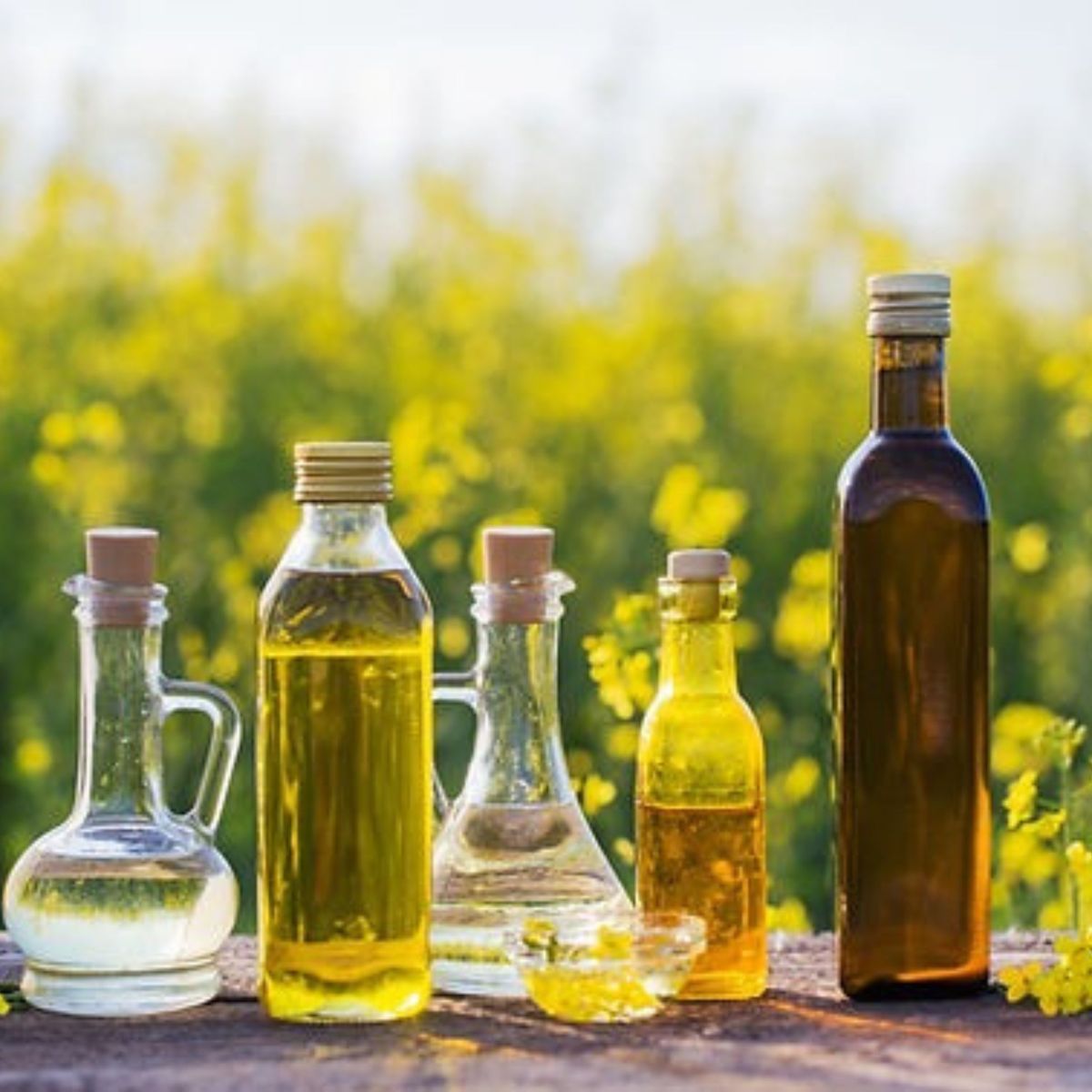 Premium Organic Canola Oil ISO/HACCP/HALAL Certified Fractionated for Consistent Performance in Food Production Preparation - Image 5
